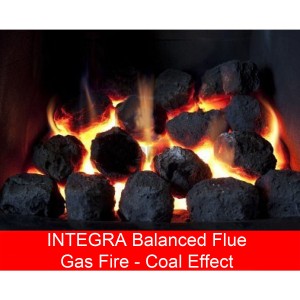 Integra Balanced Flue Inset Gas Fire