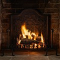 1885 Lions Cast Iron Fire Back 22'' Wide - Cast Iron
