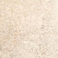 Iberian Limestone Hearth Sample