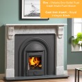 Royal Integra Arched Cast Iron Insert (High Efficiency) Antique with Polaris Inset Multi Fuel Stove