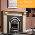 Integra High Efficiency Glass Fronted Inset Gas Fire