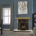 Darwin Gas Stove - Natural Gas - Standard Flue
